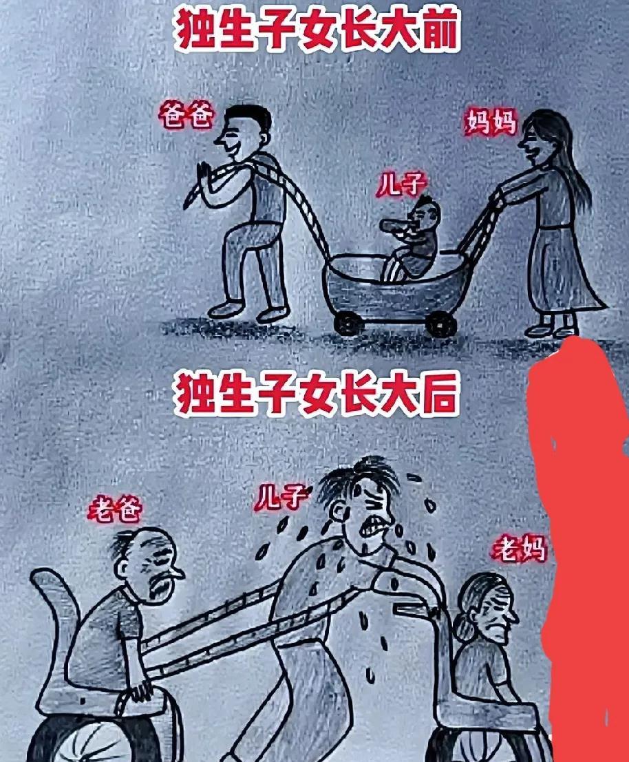 养儿防老，结果养了个“小祖宗”。