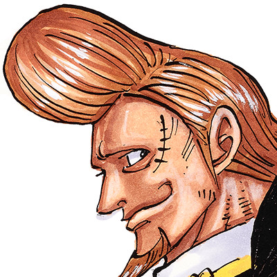 海贼王海贼王白团全球人气投票头像（由于人数众多这里是船长与队长）