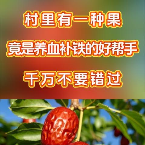 村里有一种果，竟是养血补铁的好帮手，千万不要错过。在咱们田间经常能见到这种果，它