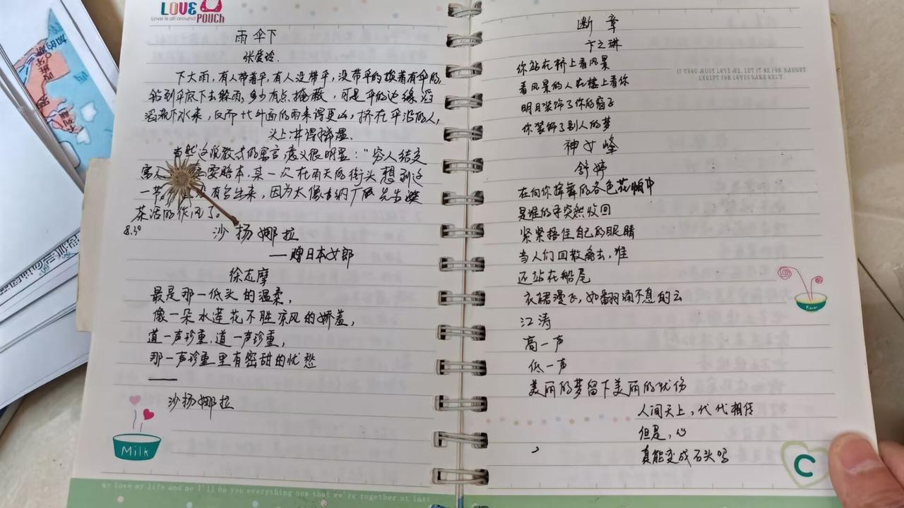 零几年的时候，总爱一笔一划手抄喜欢的句子，那是独属于学生时代的温柔。从老师布置的