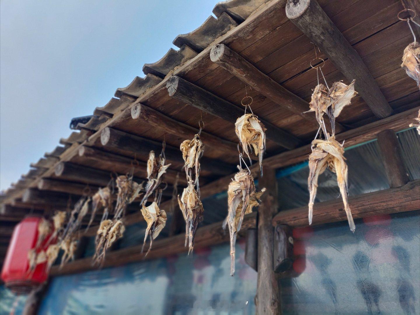 别的地方房上挂辣椒、玉米丹东这边房上挂鱼干PS，这家店是央视拍过古法虾酱制作的鸭