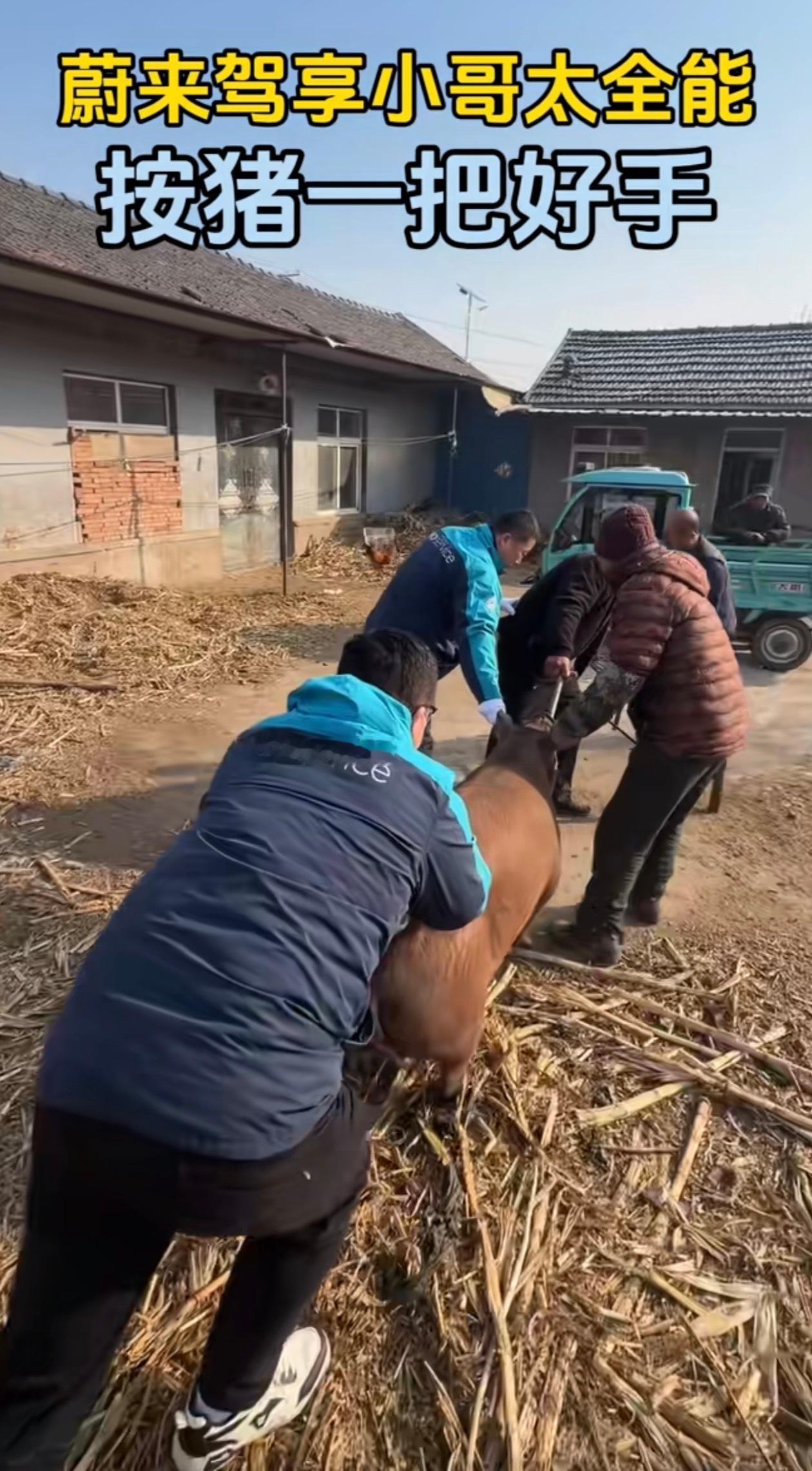 ？？？不是，蔚来小哥都能上门杀猪了？？？？