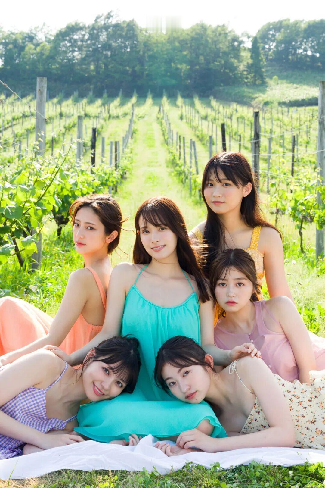 哪个更好看一点呢？