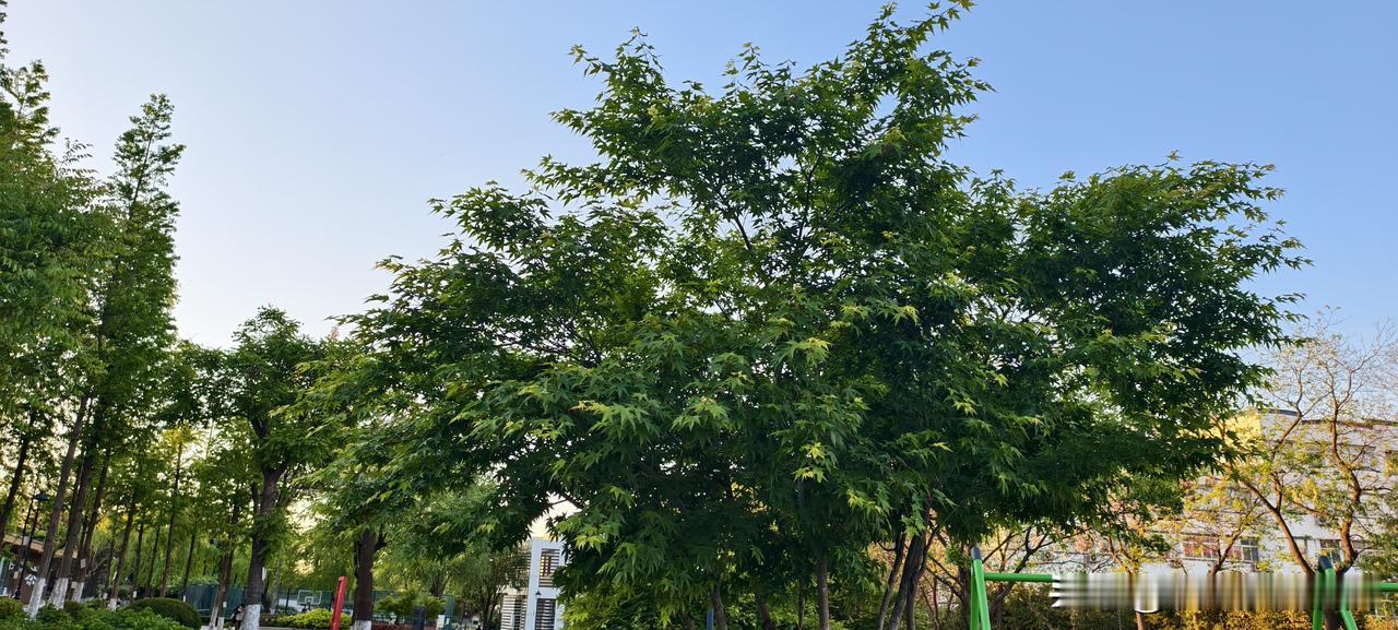 跟领导相处不踩雷｜6条保命潜规则，职场老油条都用它先讲个真事儿。我前同事