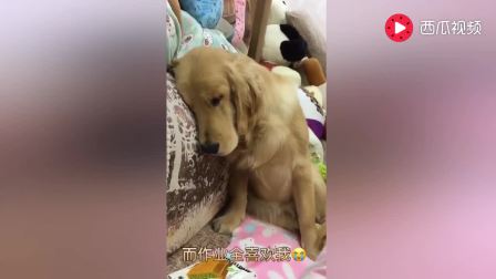 4719827338383101620.jpg?id=0