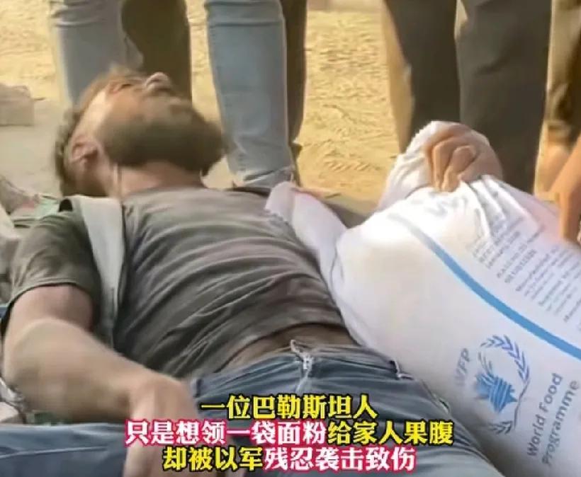 加沙人主动投降就能获得和平？太天真了！看看以色列本土的《国土报》都在报道什么，
