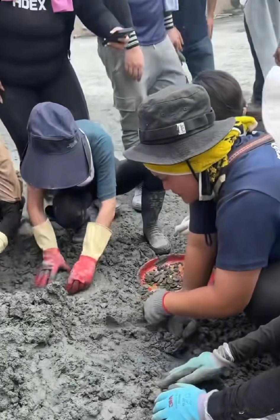 台湾救灾，挖着挖着变考古现场，一次灾难，全民娱乐！磨洋工，做秀，打卡，丧事喜办
