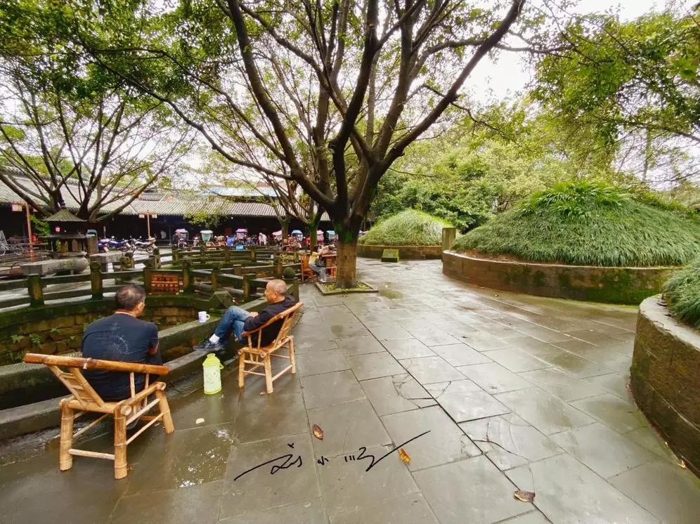 这四川人胆子是真大，围坐在坟旁喝茶聊天。四川人的生活状态真是让人惊叹！之前去四川