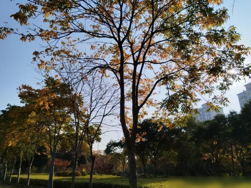 50多岁的身体，几十年不去医院，平时很少感冒，自觉身体很。，谁知道前几天突