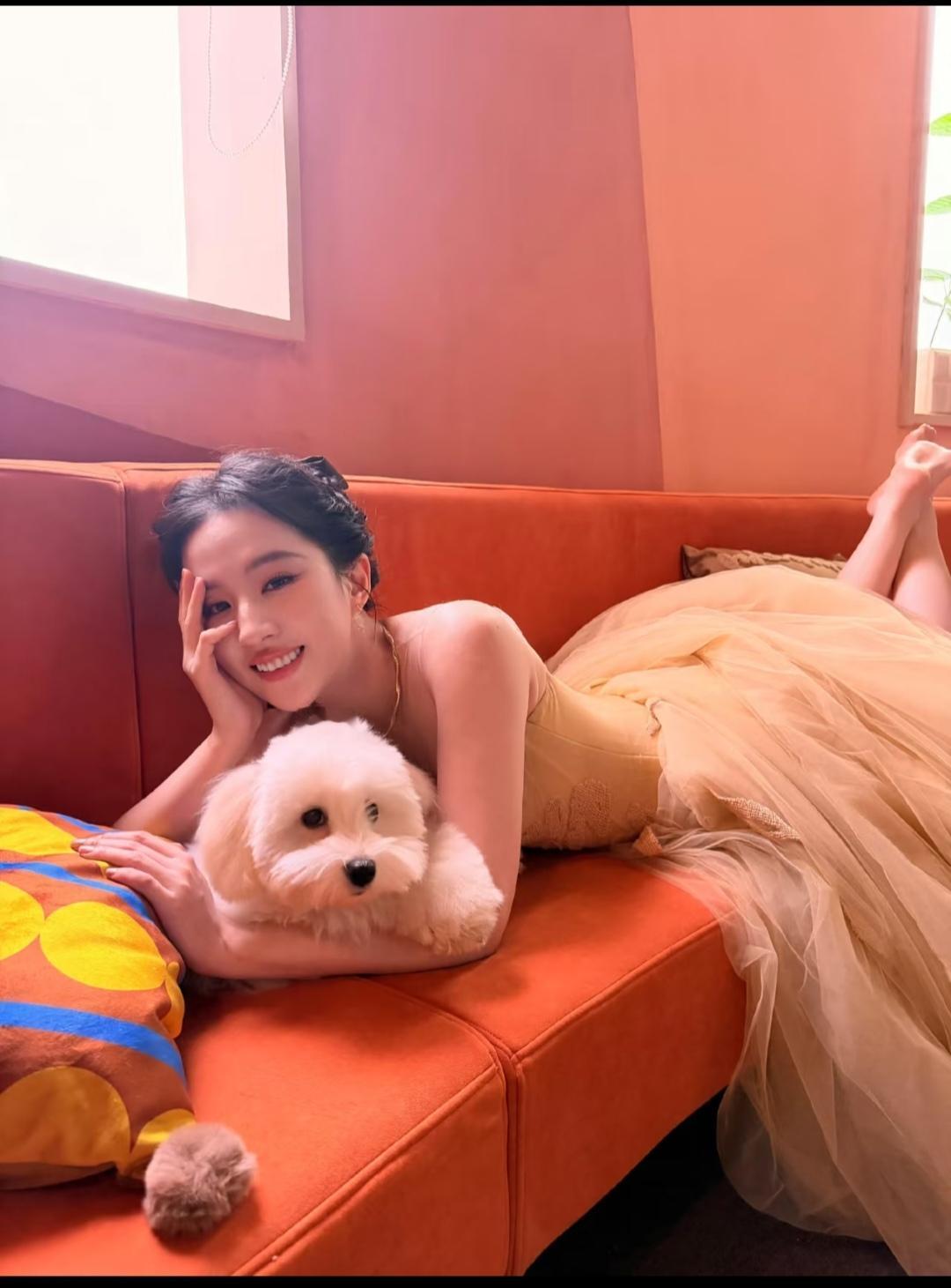 刘亦菲的狗狗好可爱。