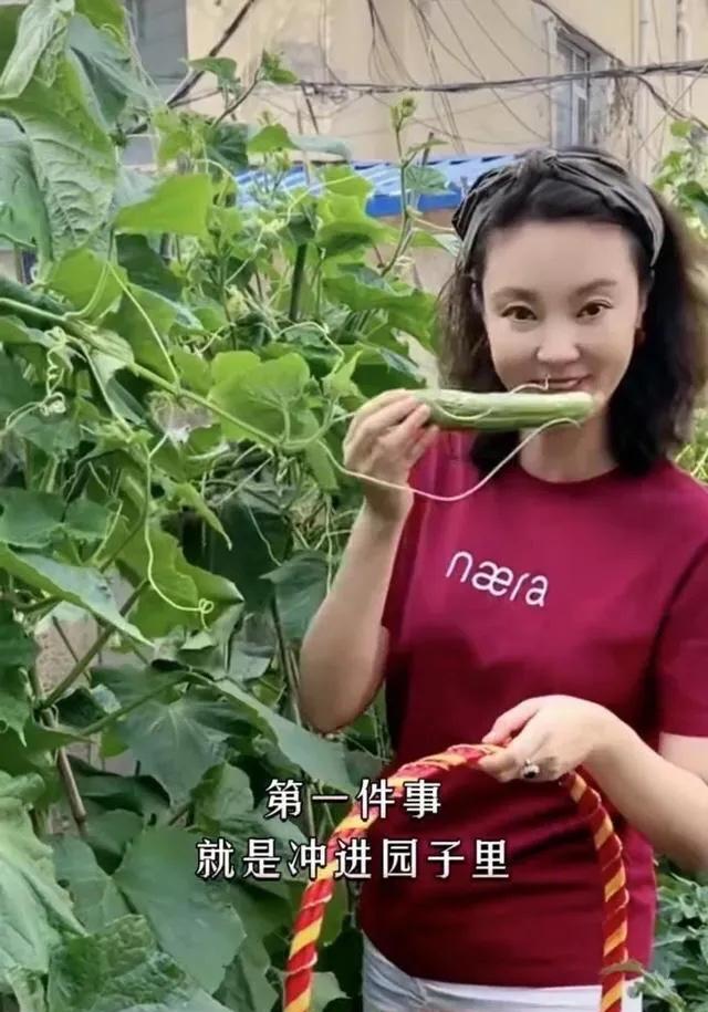 刘芳菲央视辞职后，单身生活自得其乐！现年48岁的她，还是单身贵族，无儿无女，却把