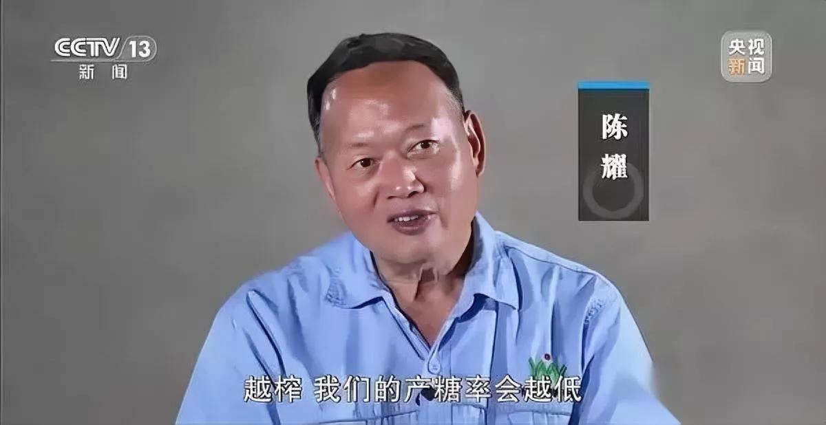收甘蔗的老板最近冤得慌咋就两头不讨好？化州的陈耀收蔗开价两毛一斤，蔗