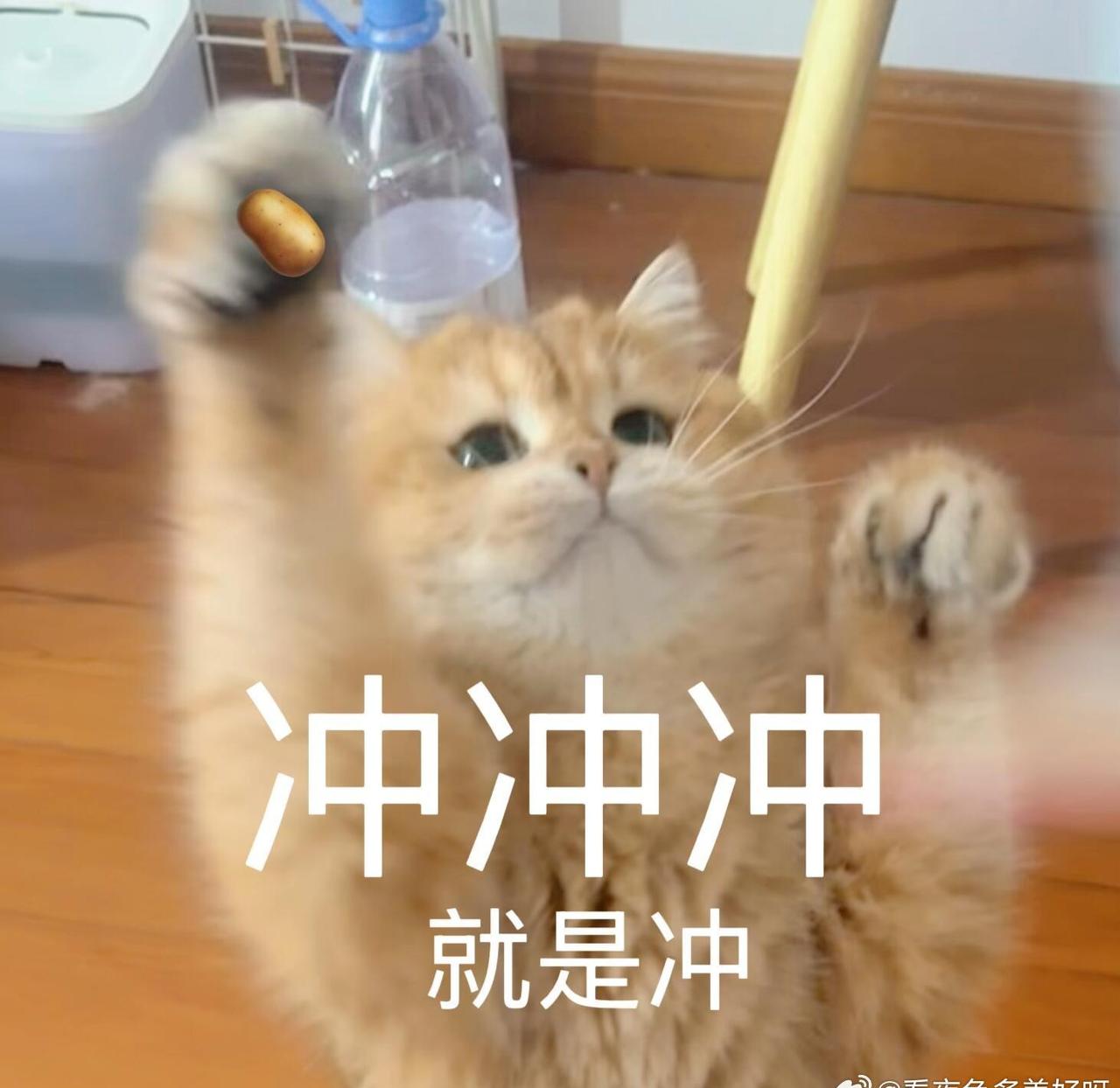 ​​​