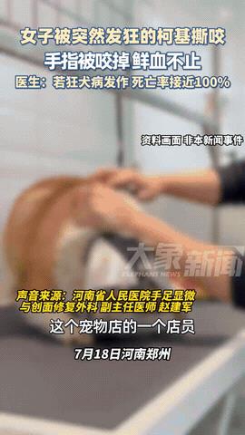 “吓死人了！”河南郑州，一位22岁的小姑娘在宠物店给柯基洗澡时，岂料它竟突然发疯