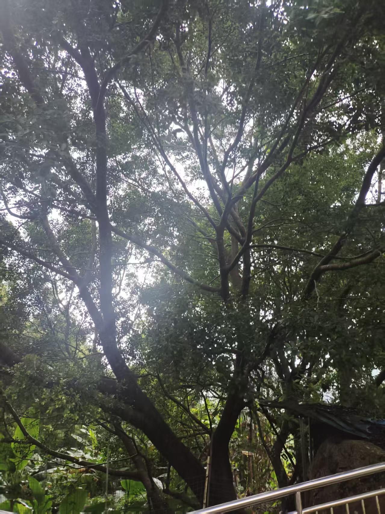 最近刷婚恋相关内容，总能刷到开放式婚姻的讨论，不少人都在说，现在传统婚姻遇冷，这