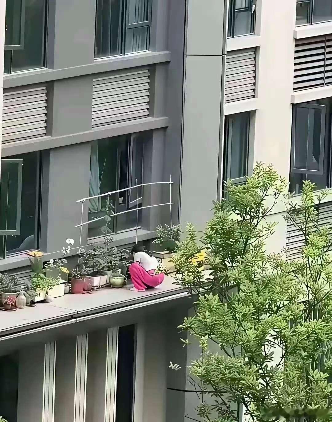 不得不说，安装一个护栏也没多少钱吧？