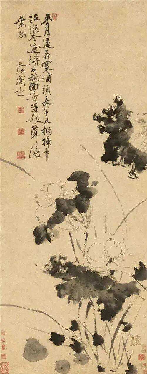 徐渭（1521年—1593年），汉族，绍兴府山阴（今浙江绍兴）人。明代著名文学家