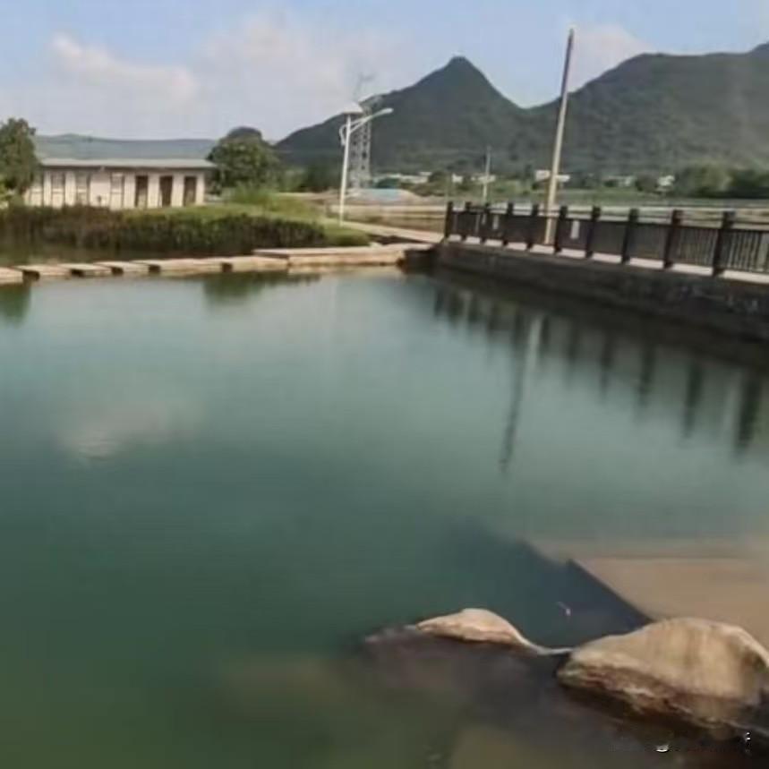 柳州一个天然泉池，地震后一夜干涸。这事看着玄，其实背后有门道。5月18号柳州