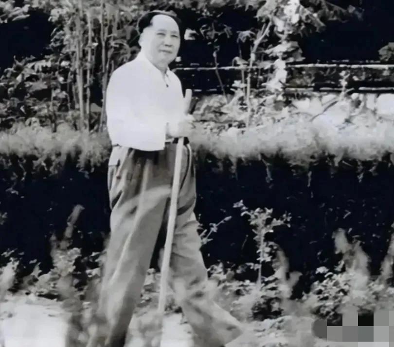 毛泽东晚年走路时，常常随手捡起一根树枝当拐杖。这个看似不经意的举动，背后是他一贯