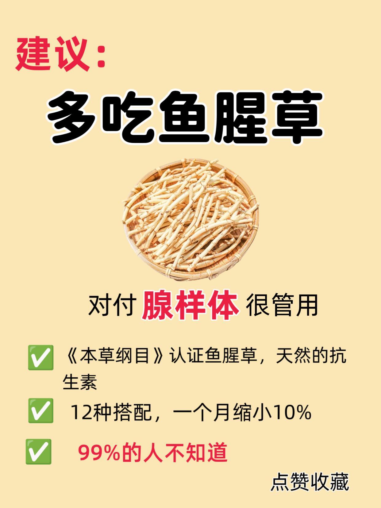 鱼腥草煮水，消炎非常好用！国医的精诚力量