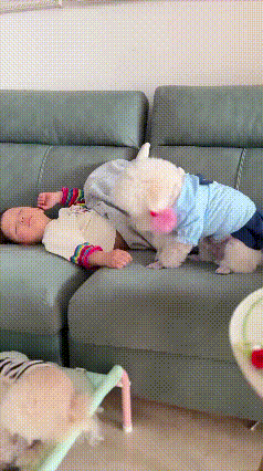 这才是顶配童年！被狗狗带大的娃，看完谁不羡慕😭网友家的狗狗，直接把小主人