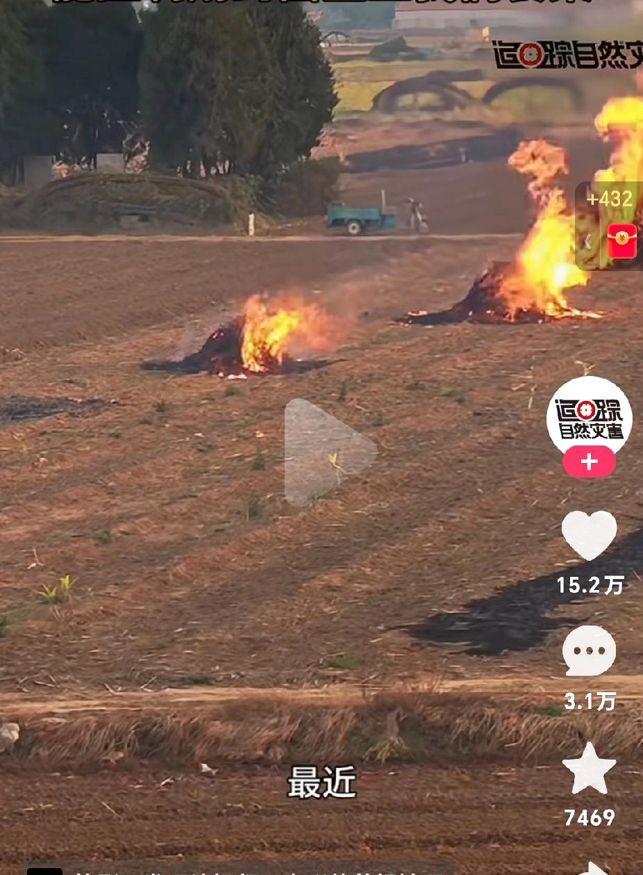 北师大研究:燃烧小麦秸秆，能控制耐药菌，登上我们餐桌！一网友发出他家土地照