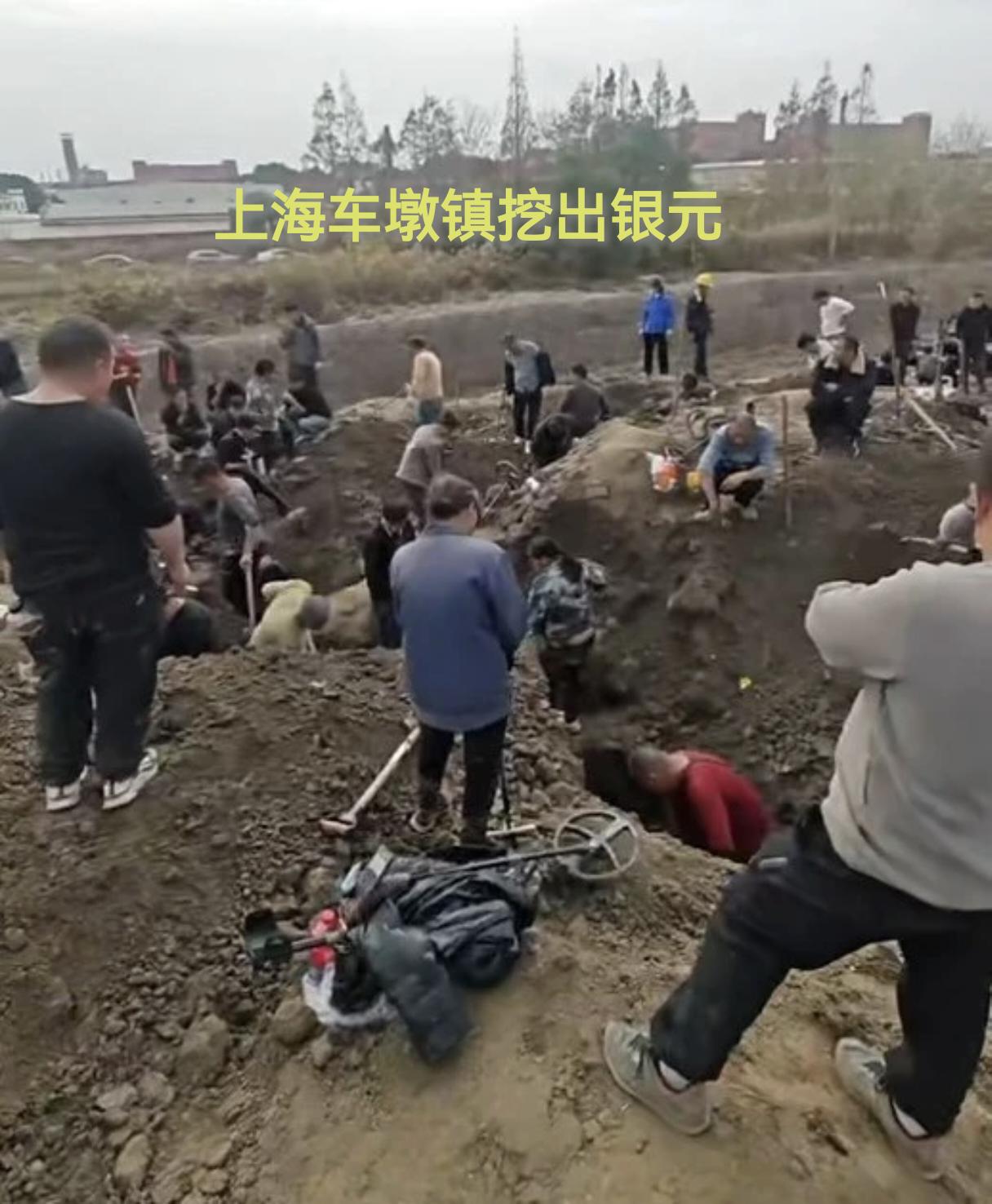 上海车墩镇这几天可真是闹翻天了！12月10日，短视频疯传，车墩镇北闵路一处农地