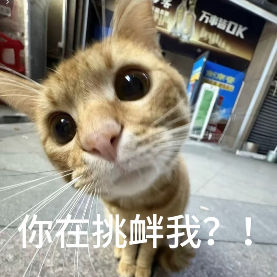 请不要停止收藏咪的表情包！​​​