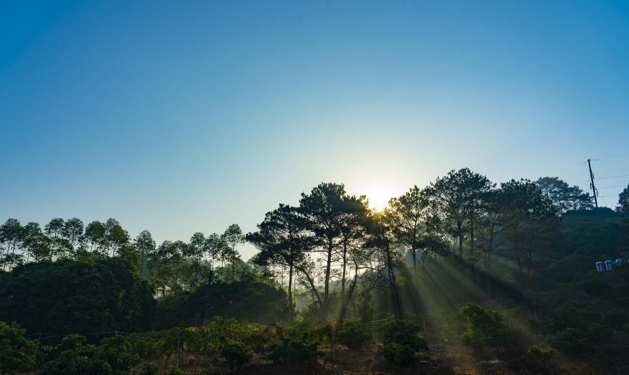 单位里正直敬业的老同志；基本上逐渐到后来都会被指责为老油条；都会被跟其他偷奸