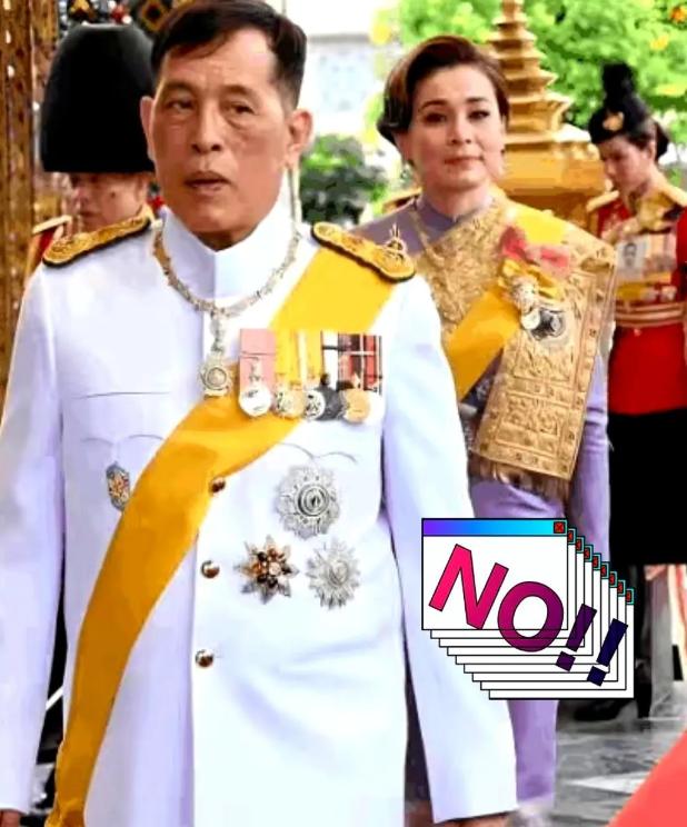 当年为了保他，咱们可是把越南按在地上摩擦。现在，泰国国王都亲自上门了，咱们这边，