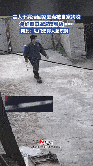 万万没想到，山西临汾，一男子干完农活回家，不料刚进家门，院子里养的狗就冲过来准备