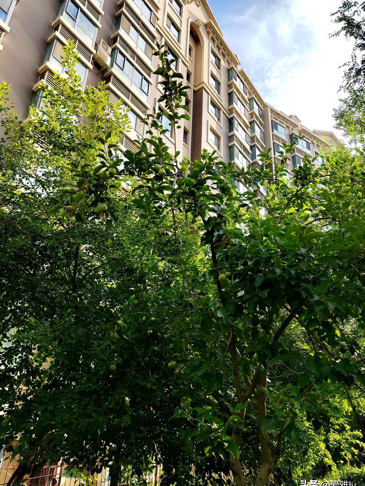气温直逼40度，晚上睡觉居然还要裹紧小被子，你敢信这是真实存在的夏天吗？这几天