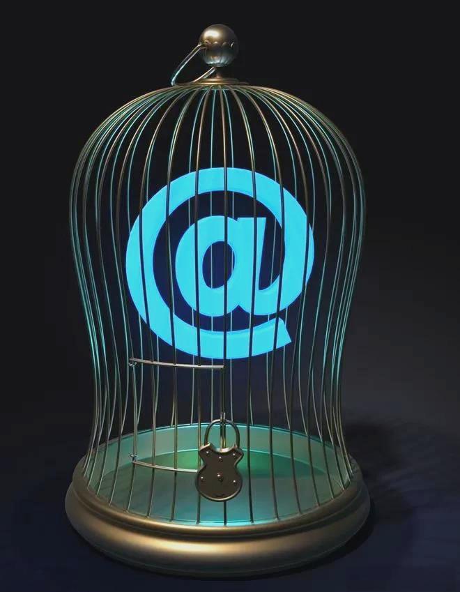 我一直有个疑问:现在互联网这么发达了，为什么台湾还有这么多人相信“榨菜哥”、“