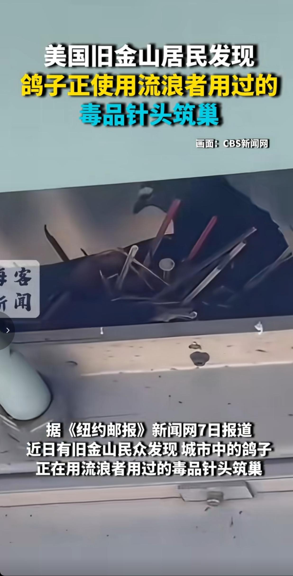 意林都沉默了！5月7日《纽约邮报》报道，旧金山田德隆区居民拍到鸽子叼着流浪