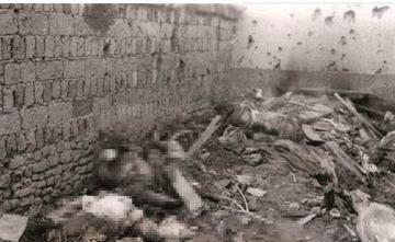 1945年8月，日军宣布投降后，12名日军逃窜到了辽宁太平房火车站躲避。没想到的