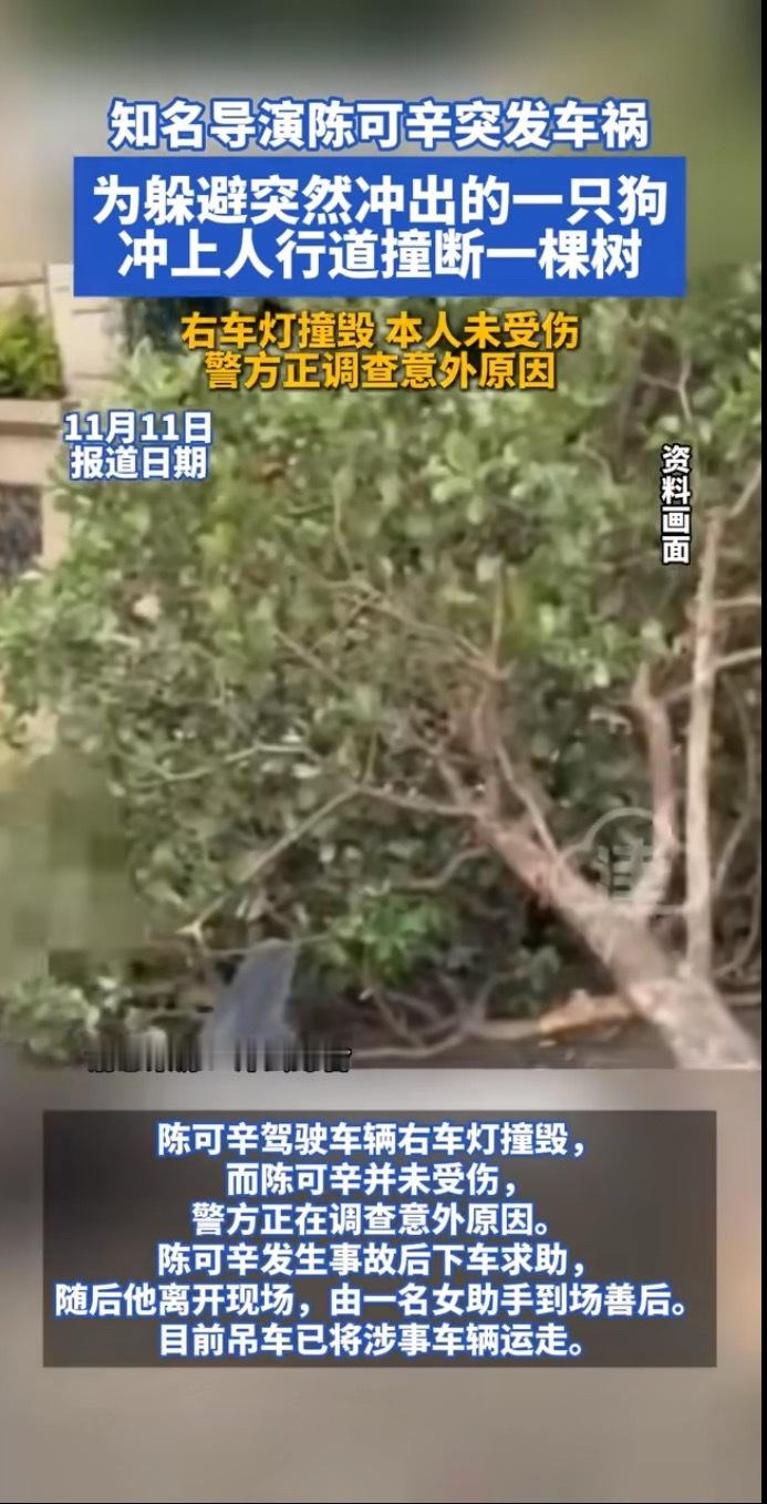 看到为了躲避小狗heart暖暖的还好人也没事！