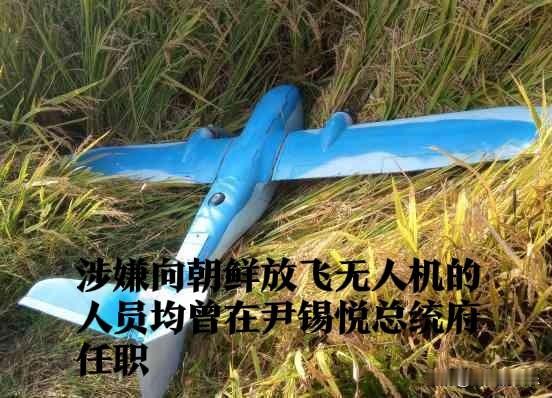 涉嫌向朝鲜放飞无人机的人员均曾在尹锡悦总统府任职据外媒报道当地时间