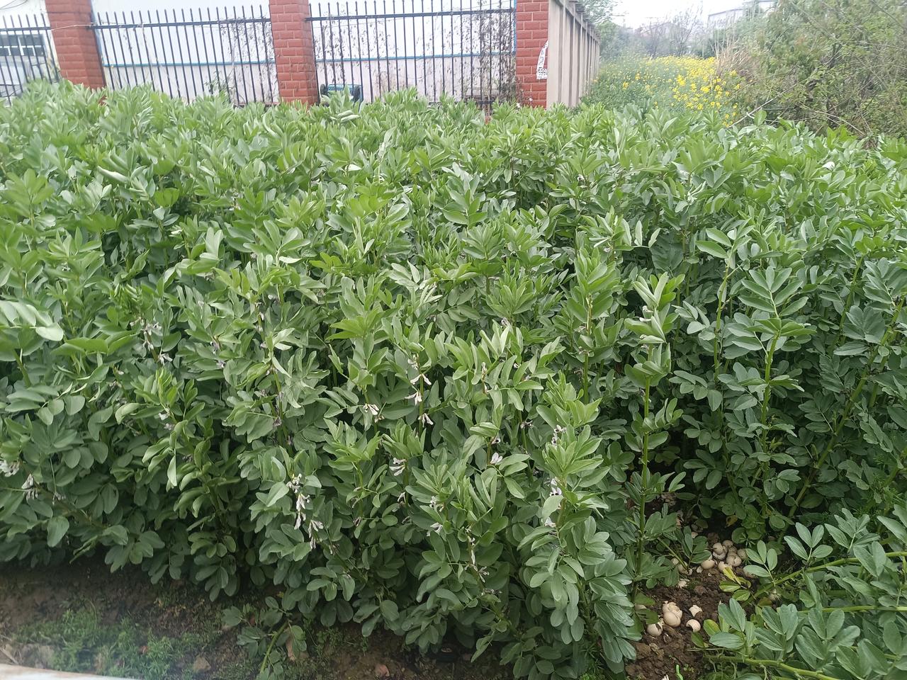 我的一日三餐控糖方法控制血糖，重在坚持规律饮食、规范用药与适度运动。经过不