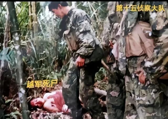 这是第15侦察大队捕俘行动中击毙的越军战士。沈阳军区第64集团军组建的第15侦