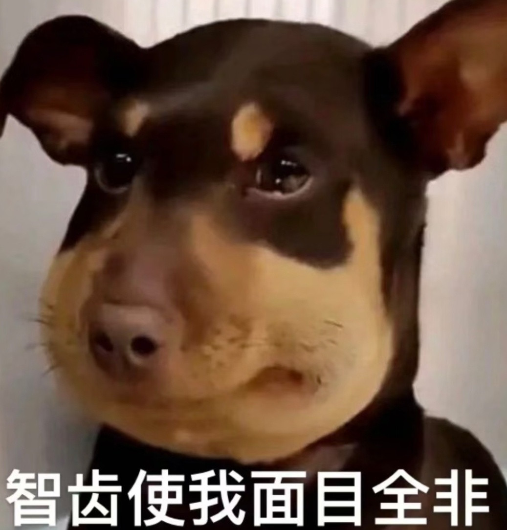 【没有智齿，人类祖先可能就饿死了】在传统上有这样一个说法：这颗牙齿是在20多岁、