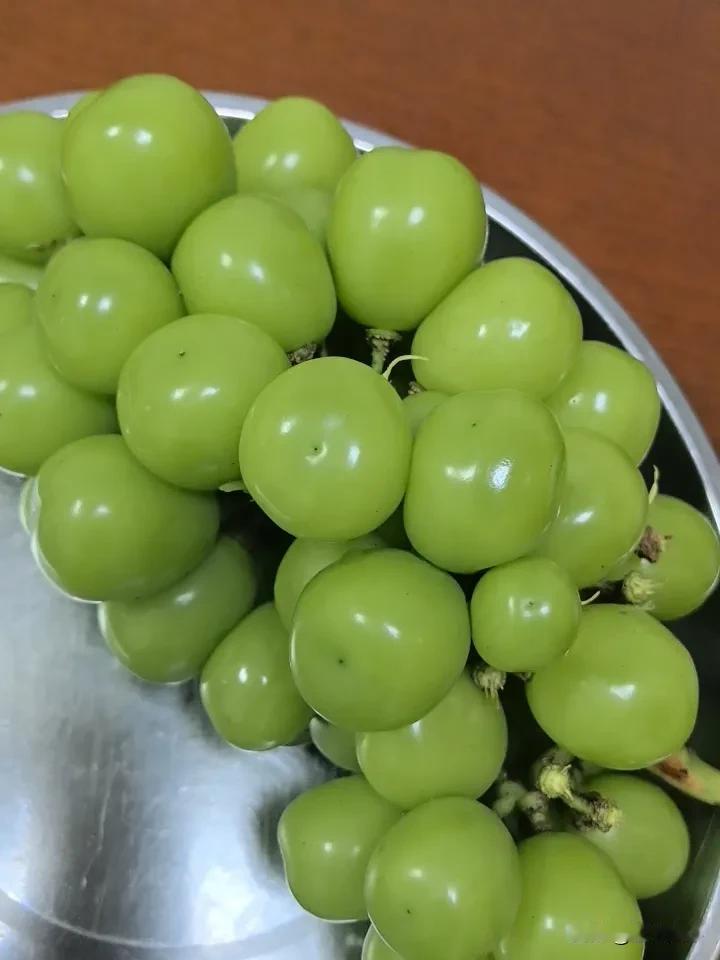 难怪了大家都说今年的阳光葡萄便宜今天买了几斤，回到家洗过才试吃一下