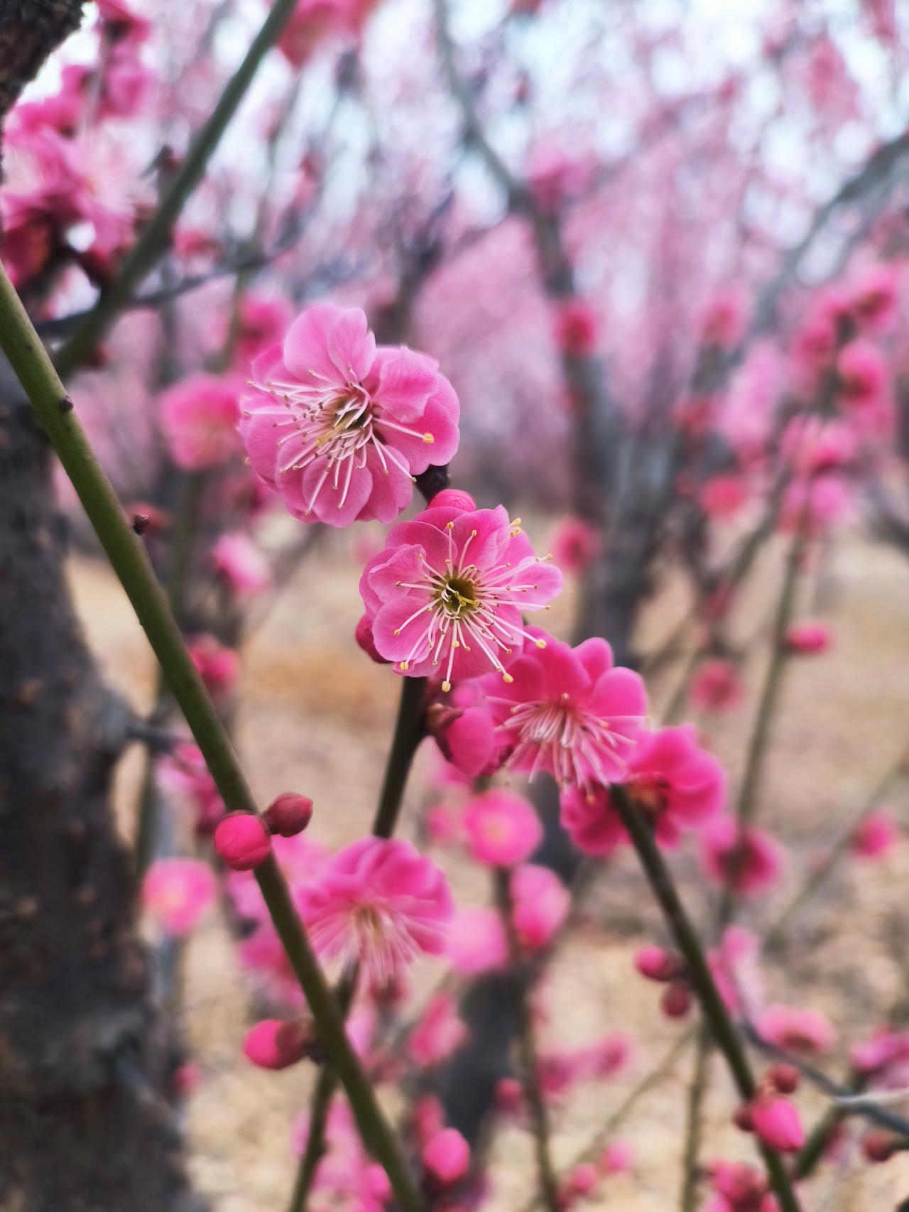 对一名教师来说，作业备课检查，你说有用就有用，你说没用就没用。很多老师很反感