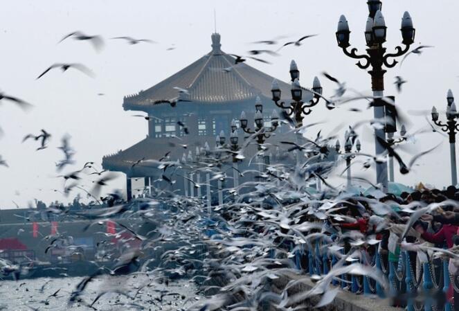 山东是一块特别适合慢慢生活的地方！有山有海，有城有乡，既能感受到发展的速度，也能