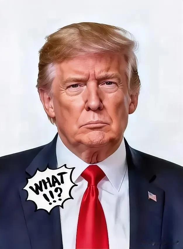 就在刚刚美国正式宣布了2025年11月4日，美国联邦政府正式宣布其“停摆”状