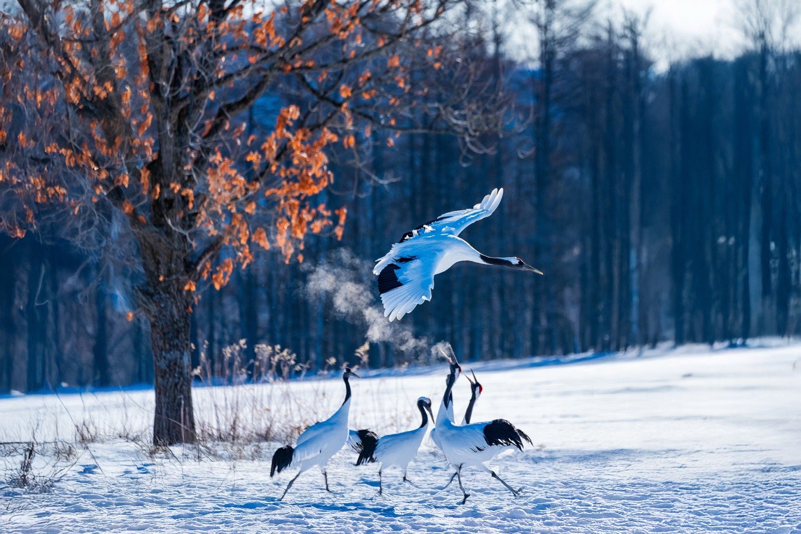今天集中学习、看片、交流。把摄影课搬到最美的风景里，是我们一直坚持的事。分享几位