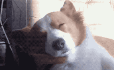 这10个表现说明严重睡眠不足，你中奖了几个[抠鼻]冬困喽～睡眠时