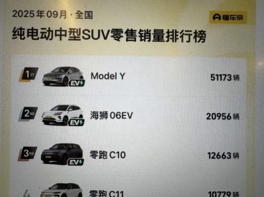 这modelY是不是有点夸张了，销量跟第二名断崖式领先。国内买大件不信任国