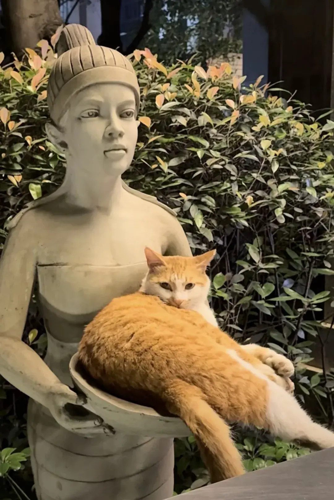 雕像：这只猫死沉死沉哒！