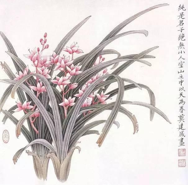 工笔兰花送与君！绘画