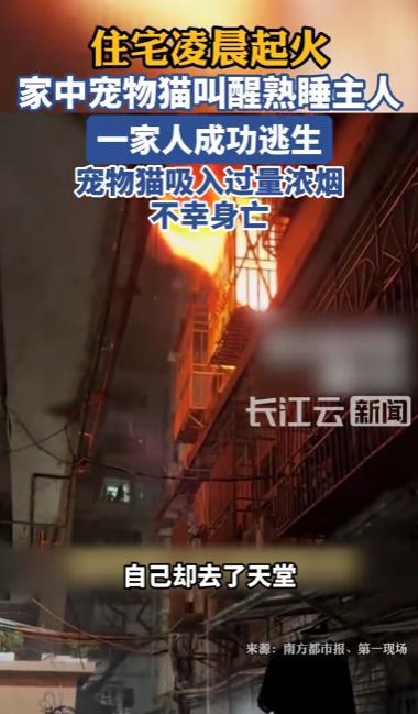 5月25日凌晨，深圳罗湖区莲塘坳下村突发揪心一幕！夜深人静，整栋居民楼的住户都陷